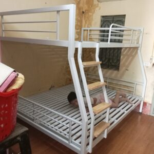 387021345 330200719545311 8370063546967325069 n