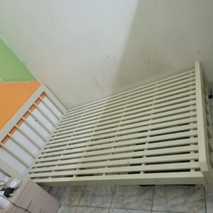 z4746326338252 92c208e29114d0d9a1f3fd0cc464eced 1.jpg